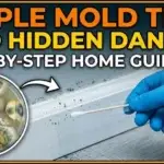 How to Test for Mold in Your Home: Simple Step Guide
