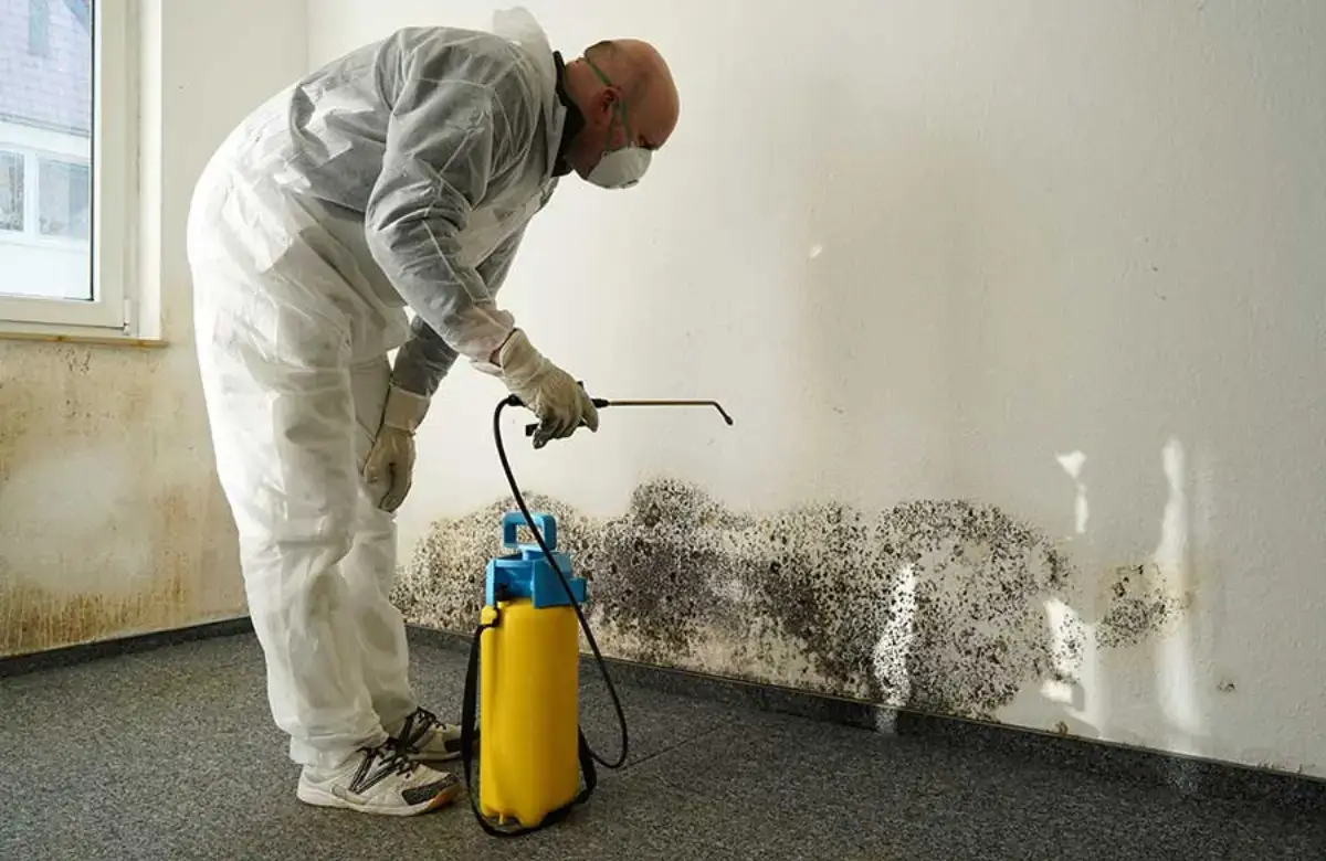 Residential Mold Inspection in Fort Pierce, FL | Complete Guide & Trusted Local Experts