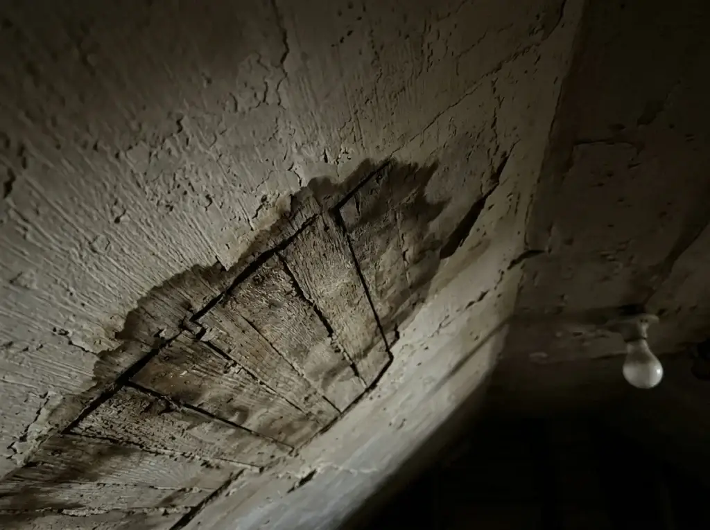 Why Mold Testing Is Essential in Older Homes